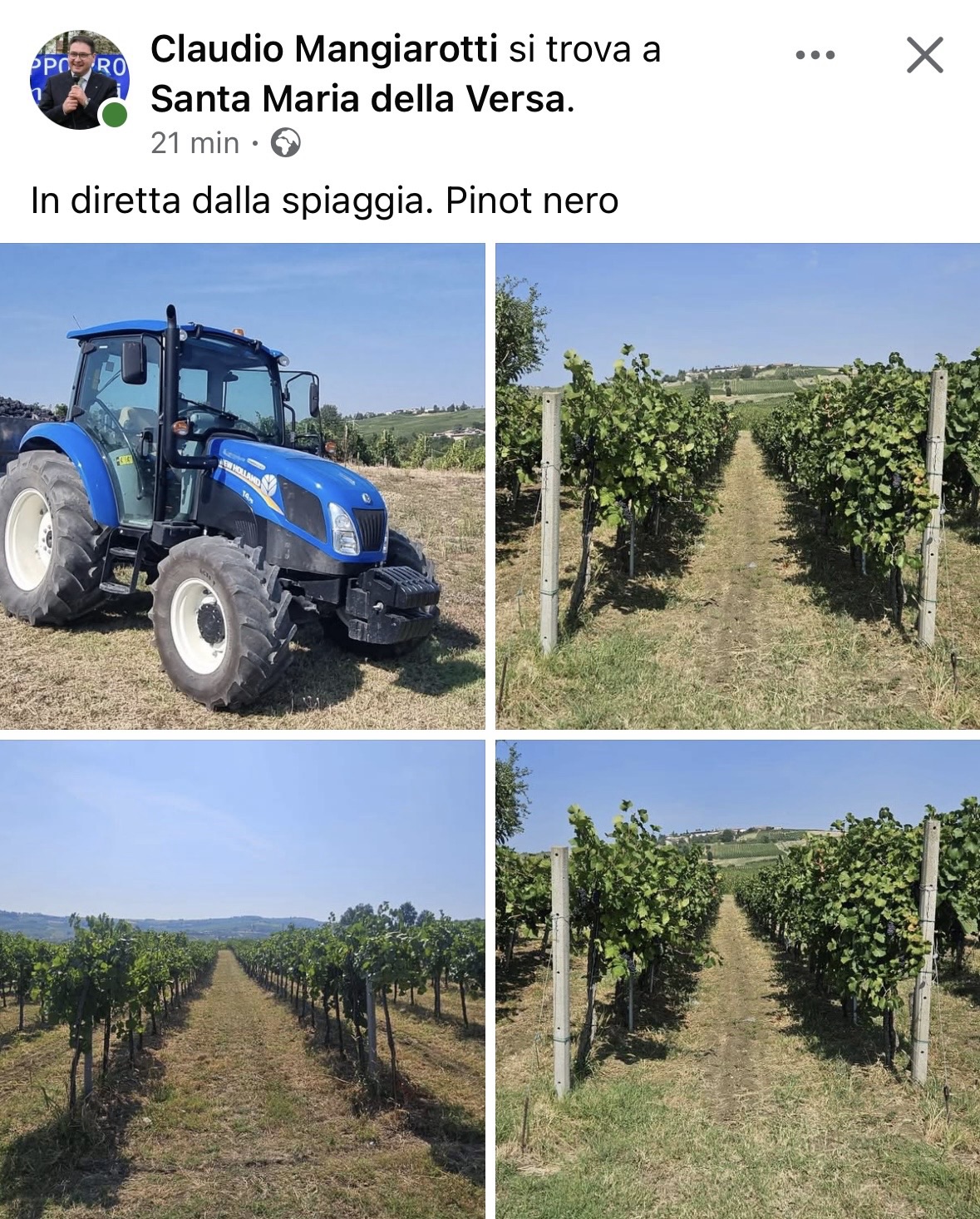 Dal circo di Volpara, lo spettacolo della vendemmia Tdo